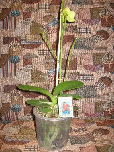 а это он в полный рост!