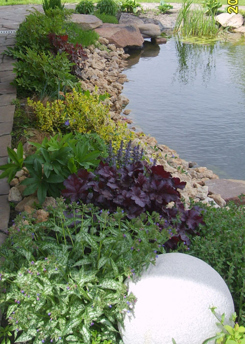 берег прудика