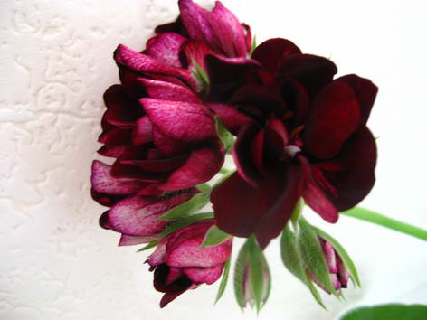 и последняя :-)