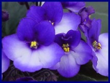 Фото с сайта промышленной компании.