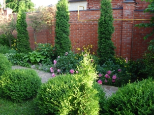 Уже цветут пионы, лилейники и дерево тамарикс.