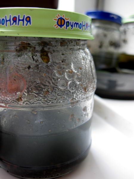 банки с посевом