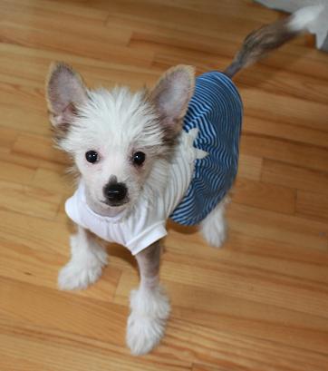 IMG_1580 для отправки 1.jpg