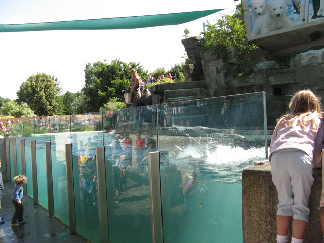 Из кормления животных устраивают настоящее шоу, объявляют когда кого кормят..