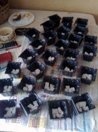 Горшочки не высокие (прибл. 8 см в высоту). На дно пенопласт (в качестве дренажа)