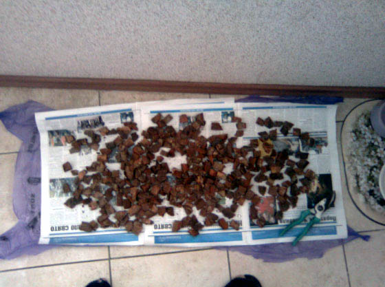 Такое кол-во коры на 24-25 горшочков. Кору обязательно моем и часик провариваем, хорошо высушиваем.