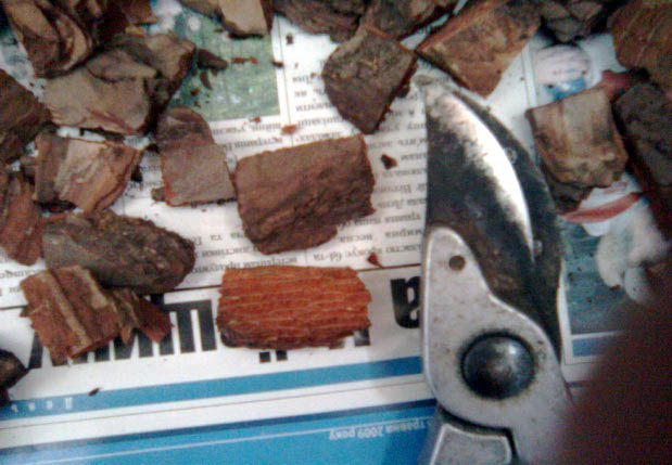 Если фракция коры слишком большая режем, но не слишком мелко. У меня получились кубики и пластины по 1, 1.2 см