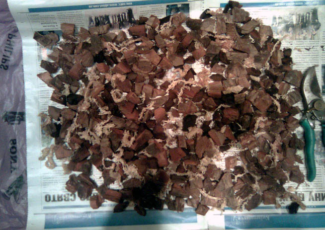 Добавляем к коре немного мха. (Все составляющие субстрата сухие)