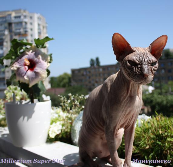 IMG_1847 шутка.jpg