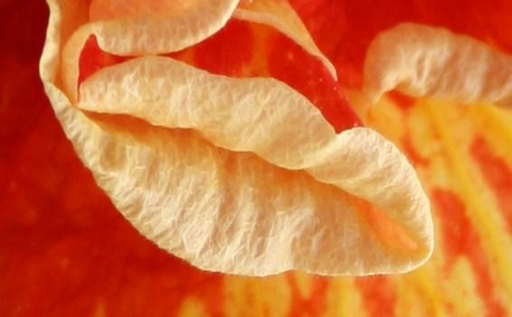 IMG_1959 какие губки.jpg