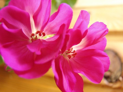 безымянная и очень яркая