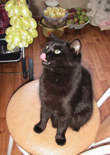 и виноград_2.jpg