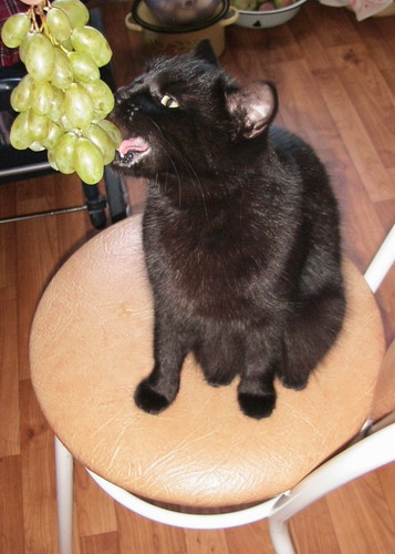 и виноград_3.jpg