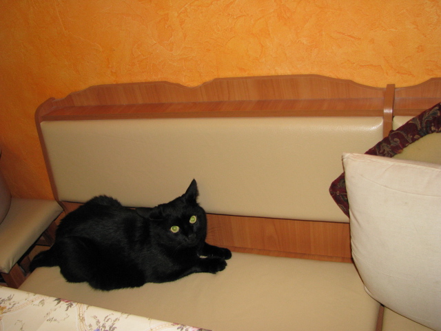 Любимый уголок