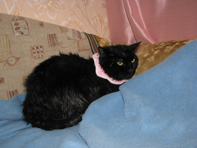 Замучен в тяжёлой неволе