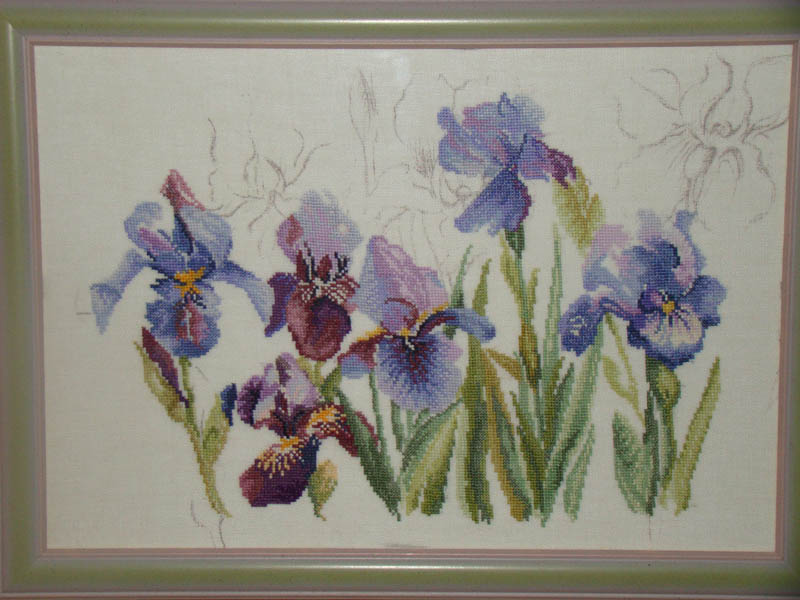 Ирисы от Lanarte