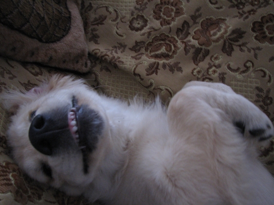 Удивительно, но он на самом деле улыбается