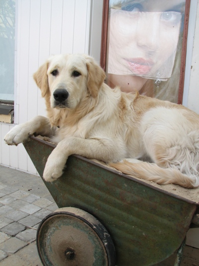 На этом фото ему 10 месяцев