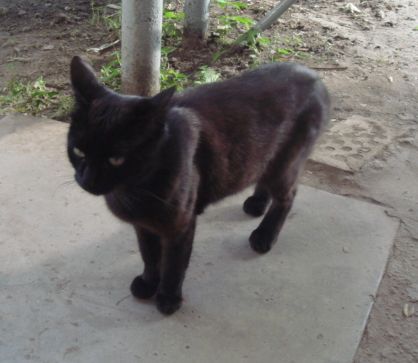 Фото на память - &quot;Раньше я был таким&quot;. <br />Думаю, таким &quot;стройным&quot; мы его уже больше не увидим:))