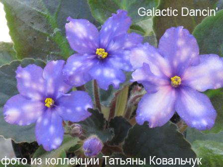 Galactic Dancin'.jpg