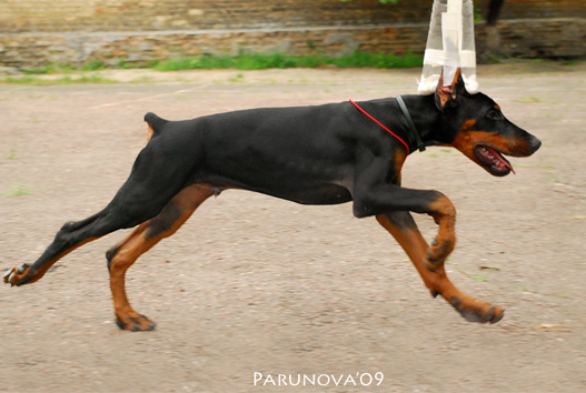 ну прям не бежим а летим :)