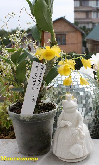 IMG_2357 Любашин и мой подарочек.jpg