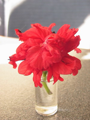 El Capitolio Bllody Mary 003.jpg