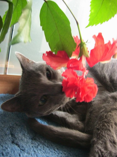 Bloody Mary_1 018.jpg