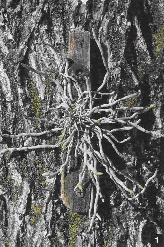 постоянное место жительства