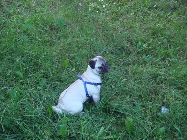 Нам полгода