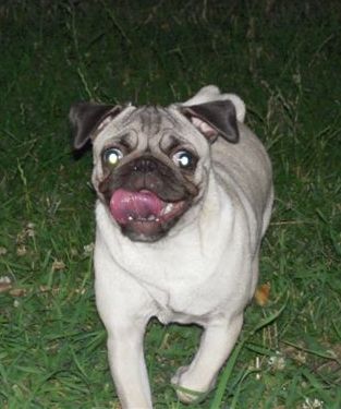 Маааам, ты меня жжвала?:))