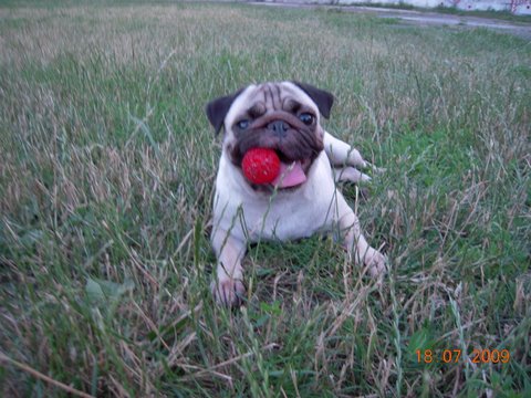 1.5 мес. назад