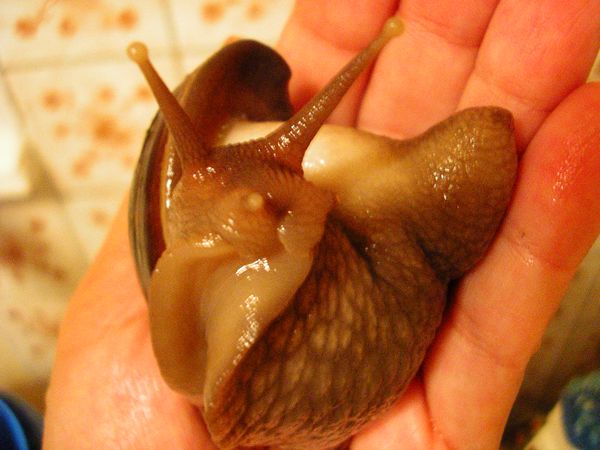 &quot;Вы по процедурному вопросу?&quot;