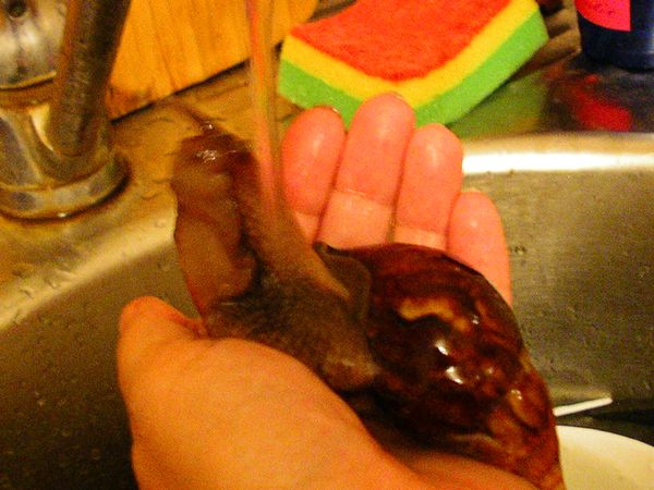 Оооо...карашоооо