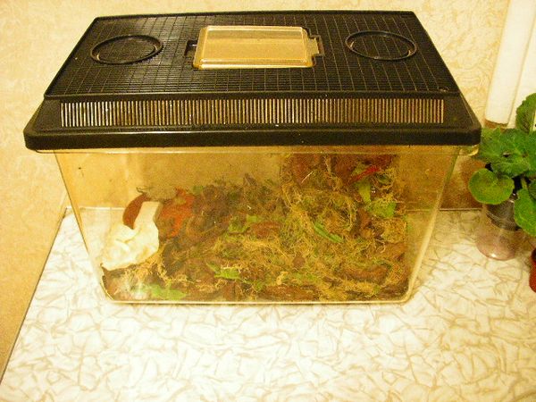 Хоум, свит хоум:)