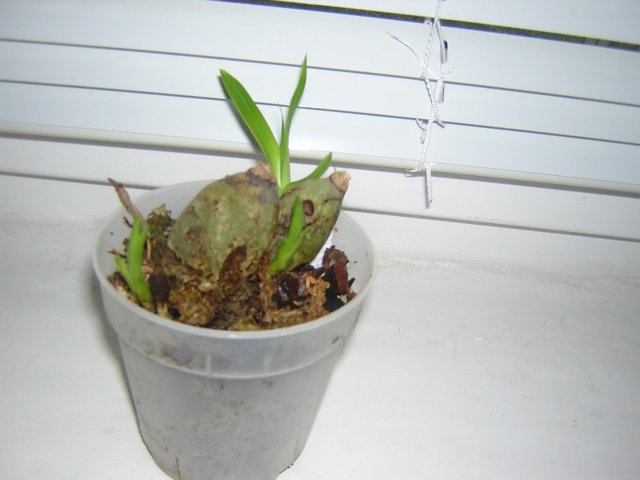 Вот такие мы на сегодняшний день