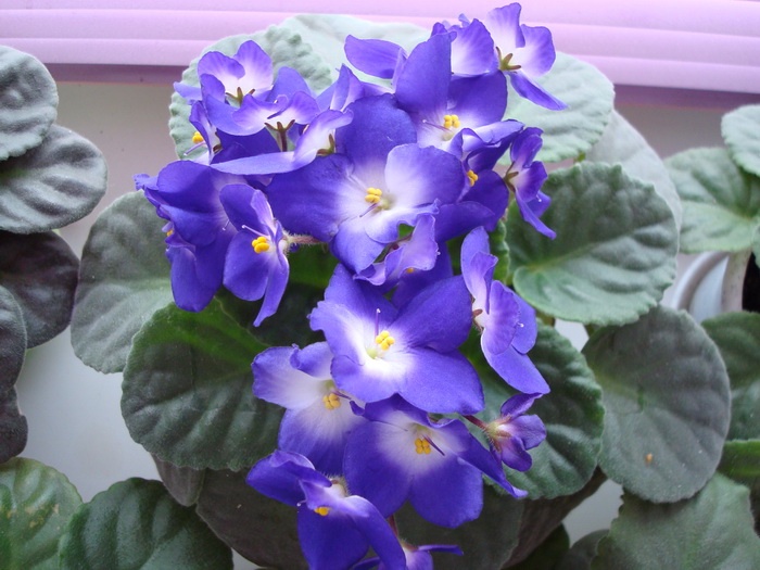 DSC02631_новый размер.JPG