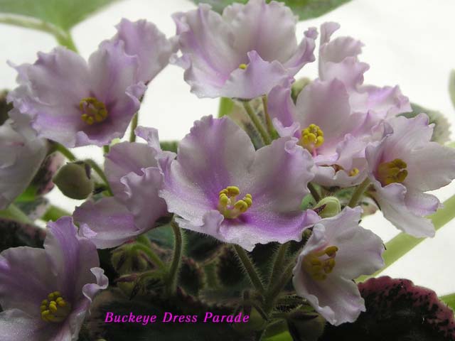 такой вот спортик получился