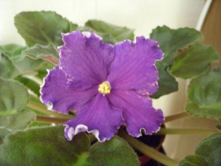 Ек-Дыхание Грозы