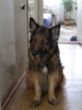 Караулим завтрак