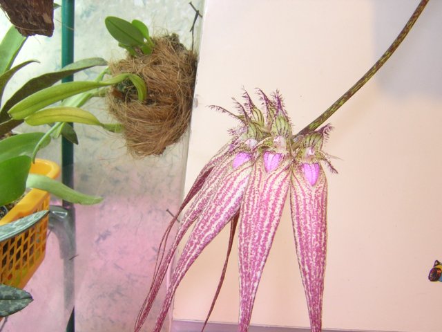 Ну а вниз - сами знаете что