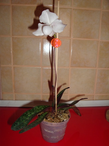 в полный рост