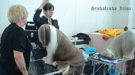 за рингами идет усиленная подготовка - последние штрихи макияжа