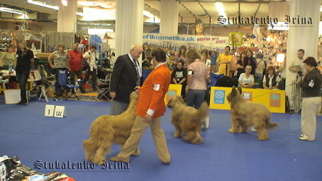 несколько видов с первого дня выставки...