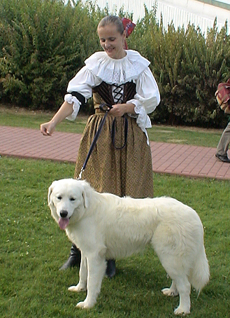 это собака - гордость Словакии.