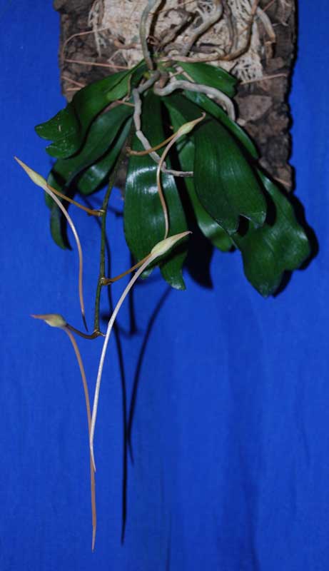 а это буквально вчера :)