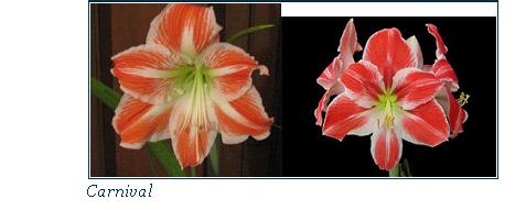 Левее Ваше фото, правее с инета