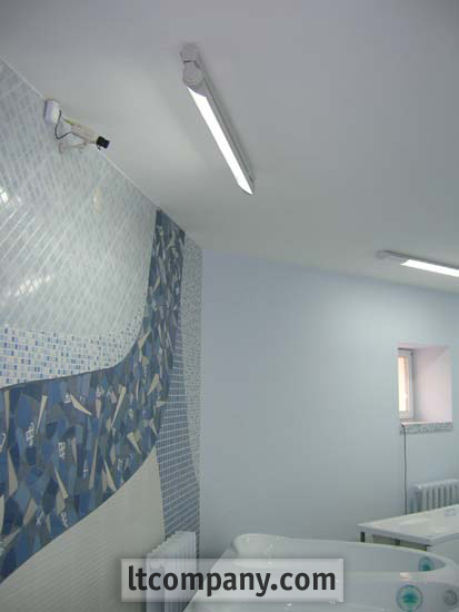 для растений.jpg