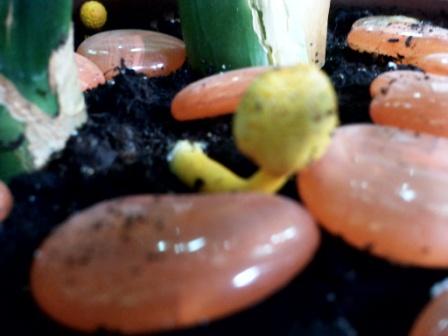 вот мы такие