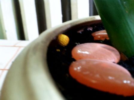 это второй маленький